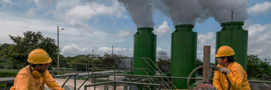 Sustainable criteria in companies from their inception